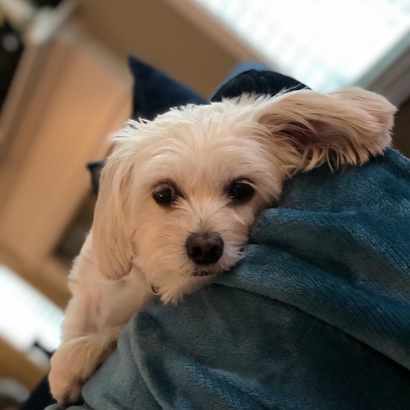 Meet your Posher, Ellen - Picture 1 of 1